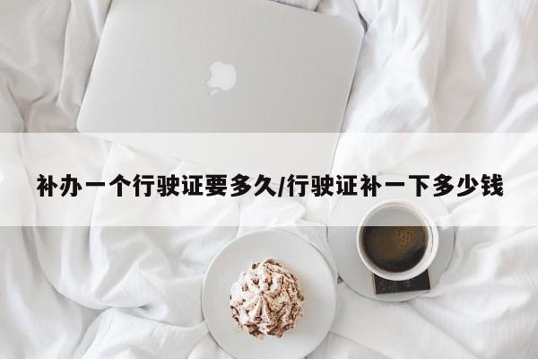 补办一个行驶证要多久/行驶证补一下多少钱