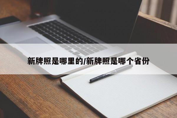 新牌照是哪里的/新牌照是哪个省份