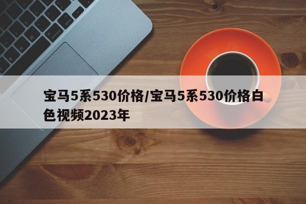 宝马5系530价格/宝马5系530价格白色视频2023年