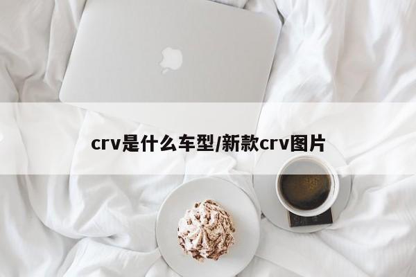 crv是什么车型/新款crv图片